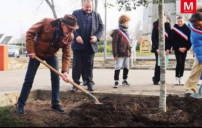 Othis ► [Vidéo] L’arbre de la fraternité planté au cœur de la commune, 550 autres suivront