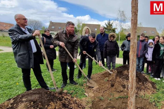 Trilport ► [Vidéo] Végétalisation et plantation :  un érable prendra racine dans la Zac de la Mère-Grand