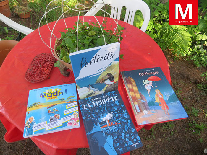 Idées de lecture - BD : De la tempête naît un ciel dégagé