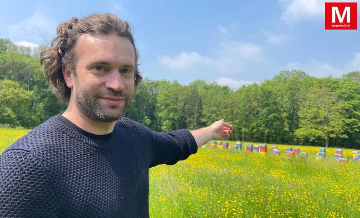 Coupvray ► [Vidéo] Les ruches de Rémi Martin, détruites par les frelons vespa velutina, ont été reconstituées 