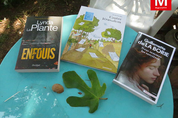 Idées de lecture ► Polar, nature, tranche de vie et une guérisseuse sorcière… gentille