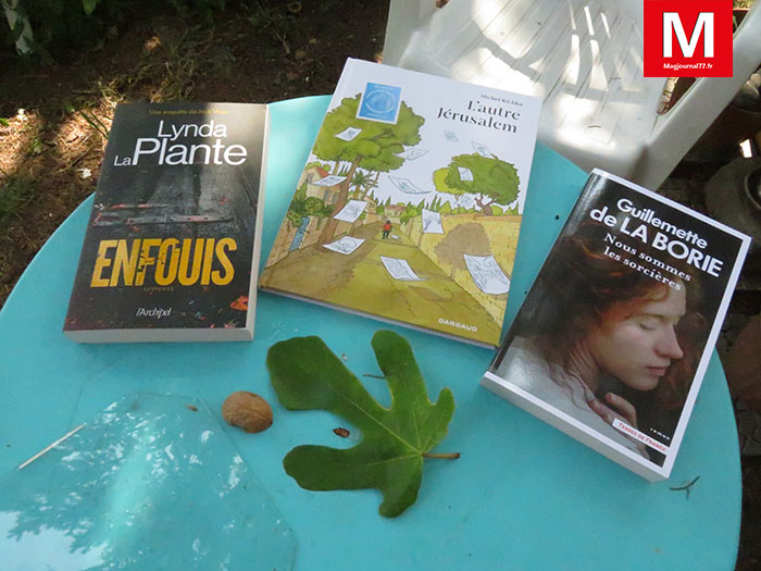 Idées de lecture ► Polar, nature et tranche de vie et une guérisseuse sorcière... gentille