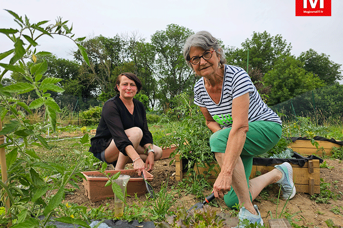 Monthyon ► [Vidéo] La municipalité a dédié un terrain au jardin partagé, en parcelle collective ou en individuelle
