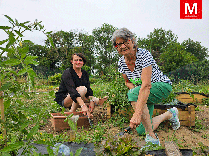 Monthyon [Vidéo] : La municipalité a dédié un terrain aux jardins partagés, en parcelles communes ou individuelles