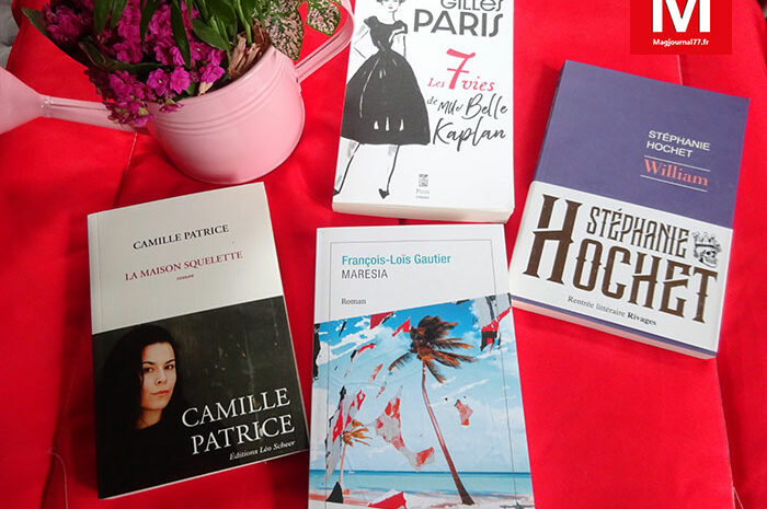 Idées de lecture ► Des énigmes en quête d’identité