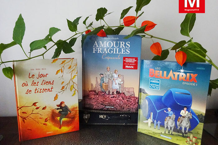 Idées de lecture ► BD : l’amour est-il si fragile ?