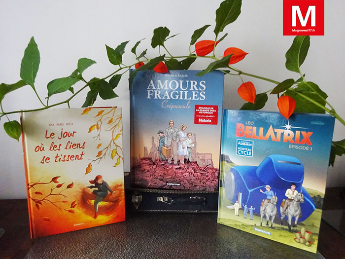 Idées de lecture - BD : l'amour est-il si fragile ?