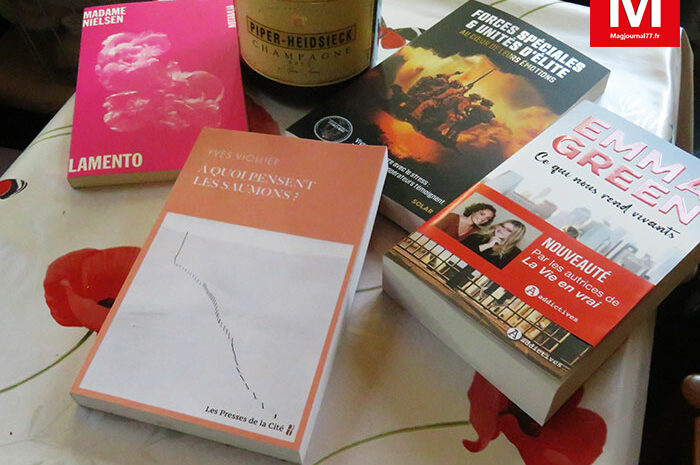 Idées de lecture ► Du cœur c’est sûr, du courage, du cerveau, du rythme et de l’amour