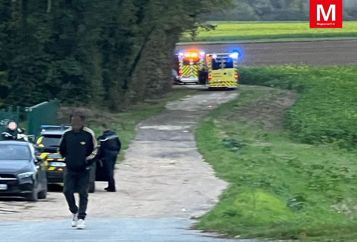 Varreddes : Un promeneur découvre un cadavre dans un bois