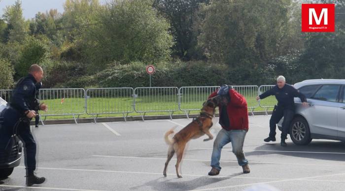 Meaux ► [Vidéo] Salon des métiers de la justice et de la sécurité pour les jeunes : les brigades équestre et canine ont impressionné