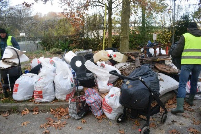 Noisiel ► L’association Ose a mené une opération de nettoyage en forêt