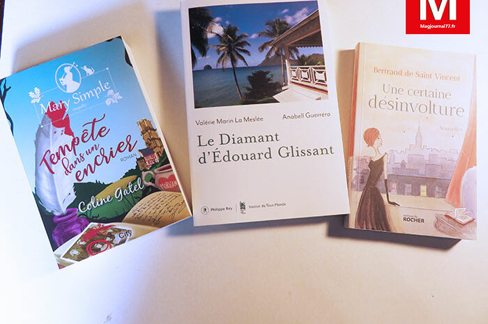 Idées de lecture ► La richesse au bout des pages : un diamant et des pépites 