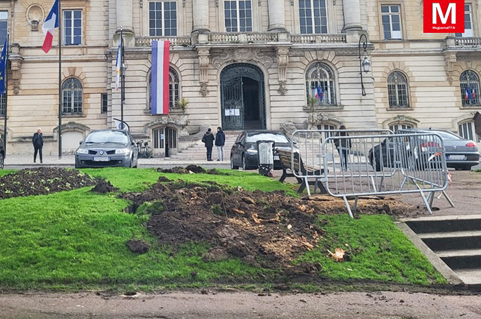 Meaux ► [Vidéo] Place de l’Hôtel de ville : les cerisiers du Japon ont été abattus et seront remplacés par des arbres sains