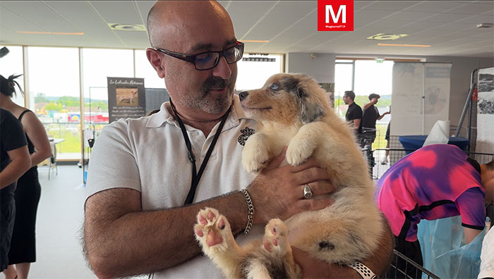 Villenoy ► [Vidéo] Salon « Univers du chiot » : les humains se sont connectés aux quadrupèdes pour des adoptions raisonnables